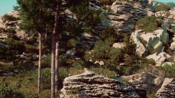 magisch Berge Sommer- felsig Landschaft foto