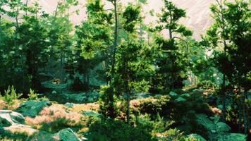 magisch Berge Sommer- felsig Landschaft foto