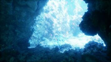 ein unter Wasser Aussicht von ein Koralle Riff im ein Höhle foto