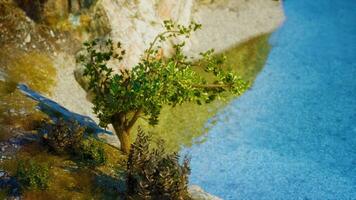 das Kalkstein Küste von das Klippen trifft das warm Türkis Wasser foto