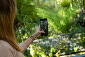 Frau Hand halten ein Handy, Mobiltelefon Telefon nehmen Bilder von ein botanisch Garten foto