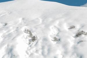 Berge mit Schneeskistraßen und Bäumen foto