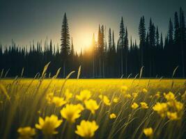 ai generiert glühend Felder von Winter Sanft Fokus Sonnenuntergang Wiese mit Gelb Blumen der Natur umarmen. ein Symphonie von Farben warm Winter Sonnenuntergang Wiese mit abstrakt Sanft Fokus Natur Harmonie. foto