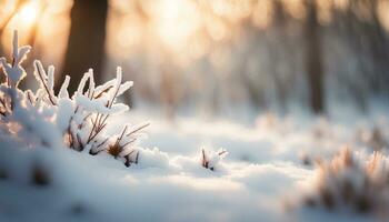 ai generiert schneebedeckt Winter Landschaft. gefroren Gras Nahansicht. foto