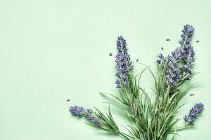 Lavendel Strauß auf Minze Grün Hintergrund. Aromatherapie Behandlung und Hautpflege Spa Kosmetika. minimal Hintergrund Konzept foto