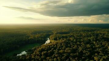 ai generiert schön Grün Wald Landschaft mit golden Stunde Zeit foto