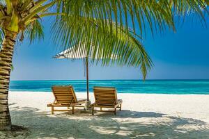 tolle Strand. romantisch Stühle Regenschirm auf sandig Strand Palme Blätter, Sonne Meer Himmel. Sommer- Urlaub, Paare Urlaub. Liebe glücklich tropisch Landschaft. still Insel Küste entspannen schön Landschaft Design foto