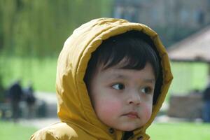 süß asiatisch pakistanisch Baby Ahmed Mustafain Haider ist genießen das schön sonnig Tag beim Krieg Öffentlichkeit Park von Luton Stadt, Dorf von England Vereinigtes Königreich. Bild war gefangen auf 03. April 2023 foto