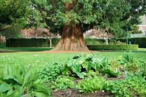 Garten beim lokal Öffentlichkeit Park von England foto