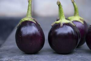 frisch Aubergine auf ein schwarz Beton Boden. selektiv Fokus, landwirtschaftlich Konzept, kultiviert Gemüse foto