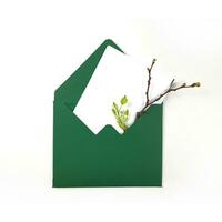 Umschläge mit Raum zum Text. Frühling Einladung. Briefumschlag mit Zweige und Blätter. Kunst Papier foto