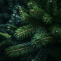 ai generiert schließen oben von Grün Tanne Baum Geäst. Weihnachten oder Neu Jahr Hintergrund foto