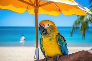 ai generiert Strand hell Welle exotisch bunt tropisch Karibik Blau Natur still Papagei foto