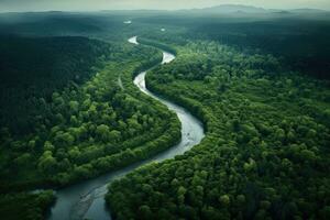 ai generiert Antenne Natur Bäume oben Regenwald draußen Wasser szenisch Fluss Reise Himmel Schönheit Blau foto