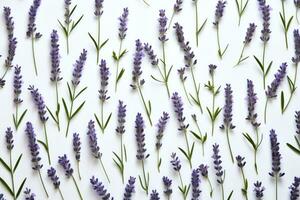 ai generiert Duft Blumen Pflanze Kräuter- blühen lila Kraut Lavendel Aromatherapie botanisch foto