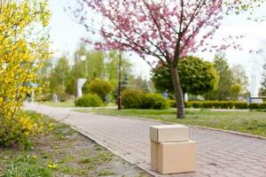 Paket Karton Box im Vorderseite Tür.Tür zu Tür Lieferung von gut Waren während das Quarantäne, geliefert draußen das Tür, E-Commerce Kauf während covid-19 sperren unten, sozial Entfernung Konzept. foto