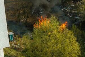 Feuer im das Feld in der Nähe von das Stadt Kiew, Ukraine. foto