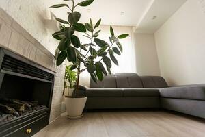 hell Leben Zimmer im ein modern Luxus Haus foto
