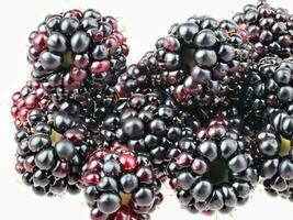 Brombeeren mit Weiß Hintergrund ai generativ foto