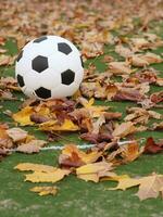 Fußball auf das Gras im Herbst ai generativ foto