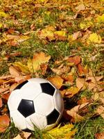 Fußball auf das Gras im Herbst ai generativ foto