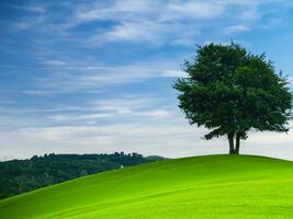 einsam Baum auf rollen Hügel ai generativ foto