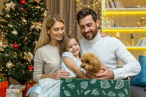 glücklich Eltern machen ein Überraschung Geschenk von ein klein Hund Hündchen von Santa zu ein Kind zum Weihnachten oder Neu Jahr. Glück. Vater und Mutter überraschend ihr Kind wenig Mädchen erhält ein Geschenk beim heim. foto
