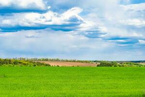 schöne horizontlandschaft in der dorfwiese auf natürlichem farbhintergrund foto