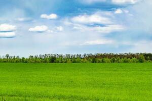 schöne horizontlandschaft in der dorfwiese auf natürlichem farbhintergrund foto