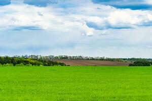 schöne horizontlandschaft in der dorfwiese auf natürlichem farbhintergrund foto