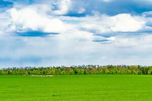 schöne horizontlandschaft in der dorfwiese auf natürlichem farbhintergrund foto