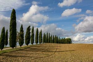 berühmt Toskana Landschaft mit gebogen Straße und Zypresse, Italien, Europa. ländlich Bauernhof, Zypresse Bäume, Grün Feld, Sonnenlicht und Wolke. foto