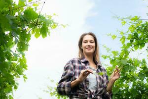 Porträt von ein jung Frau im das Weinberg mit wenig Trauben foto