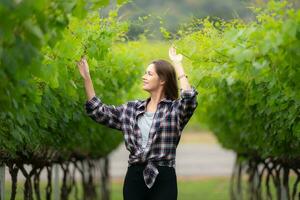 Porträt von ein jung Frau im das Weinberg mit wenig Trauben foto