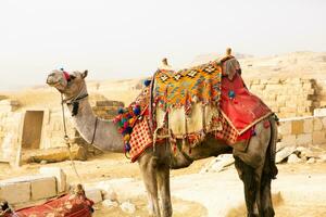 berühmt ägyptisch Pyramiden von Gizeh. Landschaft im Ägypten. Pyramide im Wüste. Afrika. Wunder von das Welt foto