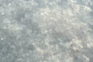 Winter Hintergrund von schneebedeckt Oberfläche mit geschmolzen Schneeflocken. natürlich Schnee Textur. foto