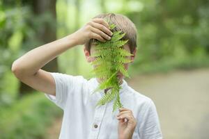 ein gut aussehend jung Junge bedeckt seine Gesicht mit ein Farn Blatt. Kind mit ein Pflanze. foto
