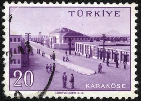 Türkei, 2021 - Vintage Truthahn-Briefmarke