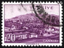 Türkei, 2021 - Vintage Truthahn-Briefmarke
