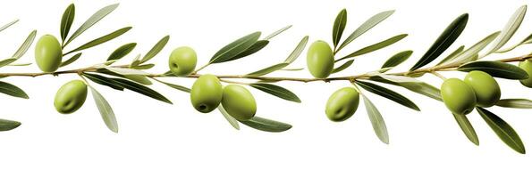 ai generiert Olive Baum Zweig, Grün Oliven und Blätter auf Weiß Hintergrund. ai generiert. foto