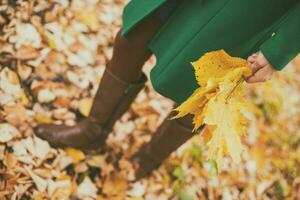 Frau halten fallen Blätter und genießen im Herbst während Stehen im das Park. foto
