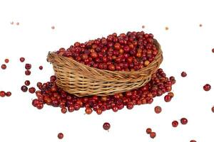 indisch Obst rot Beere ebenfalls kennt wie langweilig, Bora oder langweilen foto