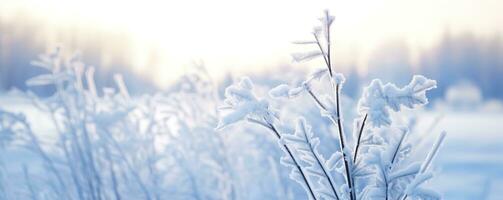 ai generiert gefroren schneebedeckt Gras, Winter natürlich abstrakt Hintergrund. schön Winter Landschaft. ai generiert foto