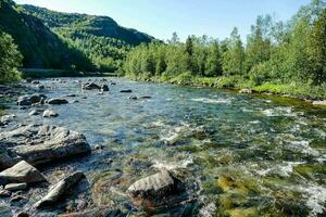 ein Fluss Laufen durch ein Wald mit Felsen und Bäume foto