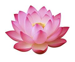 ai generiert Lotus Blume auf Weiß Hintergrund. ai generiert foto