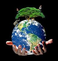 Erde und Umwelt in der Hand auf schwarzem Hintergrund. liebe das erdkonzept, schütze die umwelt, tag der erde foto