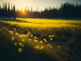 ai generiert glühend Felder von Winter Sanft Fokus Sonnenuntergang Wiese mit Gelb Blumen der Natur umarmen. ein Symphonie von Farben warm Winter Sonnenuntergang Wiese mit abstrakt Sanft Fokus Natur Harmonie. foto