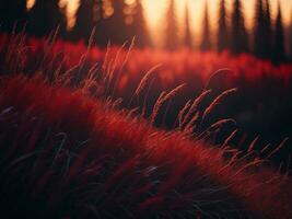 ai generiert glühend Felder von Winter Sanft Fokus Sonnenuntergang Wiese mit Gelb Blumen der Natur umarmen. ein Symphonie von Farben warm Winter Sonnenuntergang Wiese mit abstrakt Sanft Fokus Natur Harmonie. foto