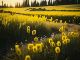 ai generiert glühend Felder von Winter Sanft Fokus Sonnenuntergang Wiese mit Gelb Blumen der Natur umarmen. ein Symphonie von Farben warm Winter Sonnenuntergang Wiese mit abstrakt Sanft Fokus Natur Harmonie. foto