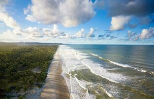 Antenne Aussicht verlassen Strand mit Kokosnuss Bäume auf das Küste von Bahia Brasilien foto